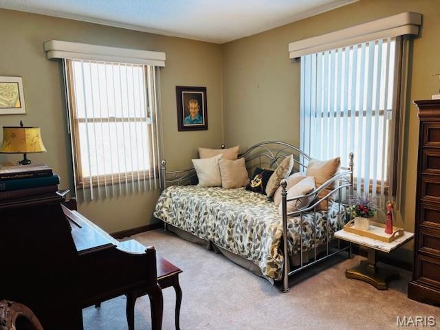 207 Center Point Road Steelville, MO 65565 - Photo 79 of 92