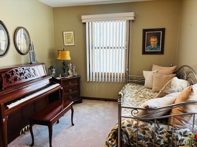 207 Center Point Road Steelville, MO 65565 - Photo 81 of 92