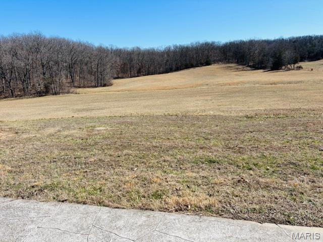 207 Center Point Road Steelville, MO 65565 - Photo 86 of 92