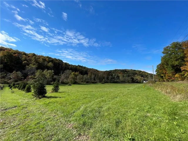 a view of grassy field with mountain