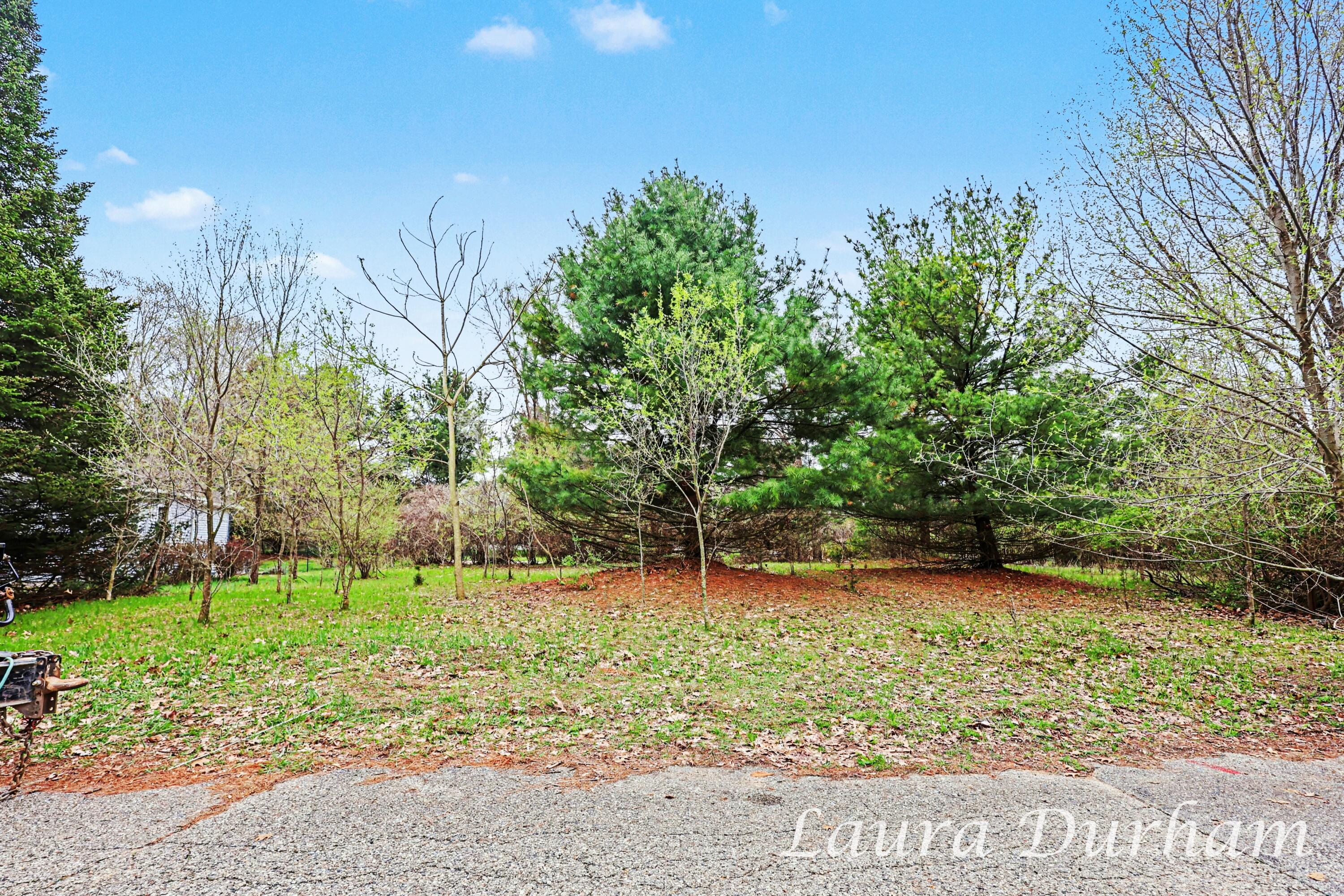 289 Crest Douglas, MI 49406 - Photo 5 of 17 005_file_5371LJD