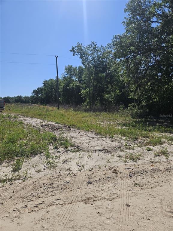 0 Southwest Mixson Road Lake City, FL 32024 - Photo 13 of 34 Gallery Image 13