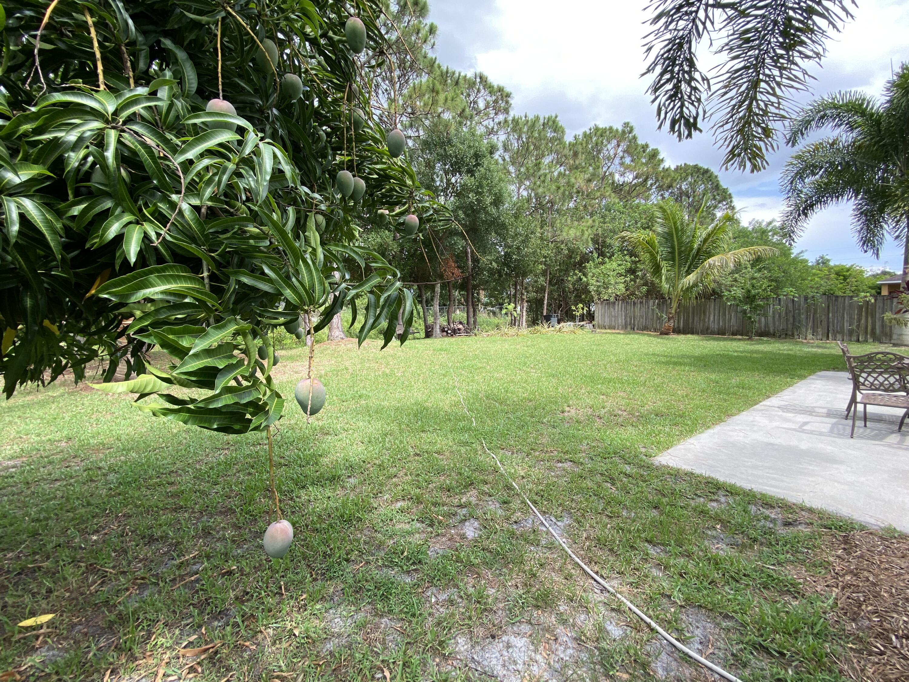 501 Northwest Selvitz Road Port St. Lucie, FL 34983 - Photo 29 of 41 IMG_0815