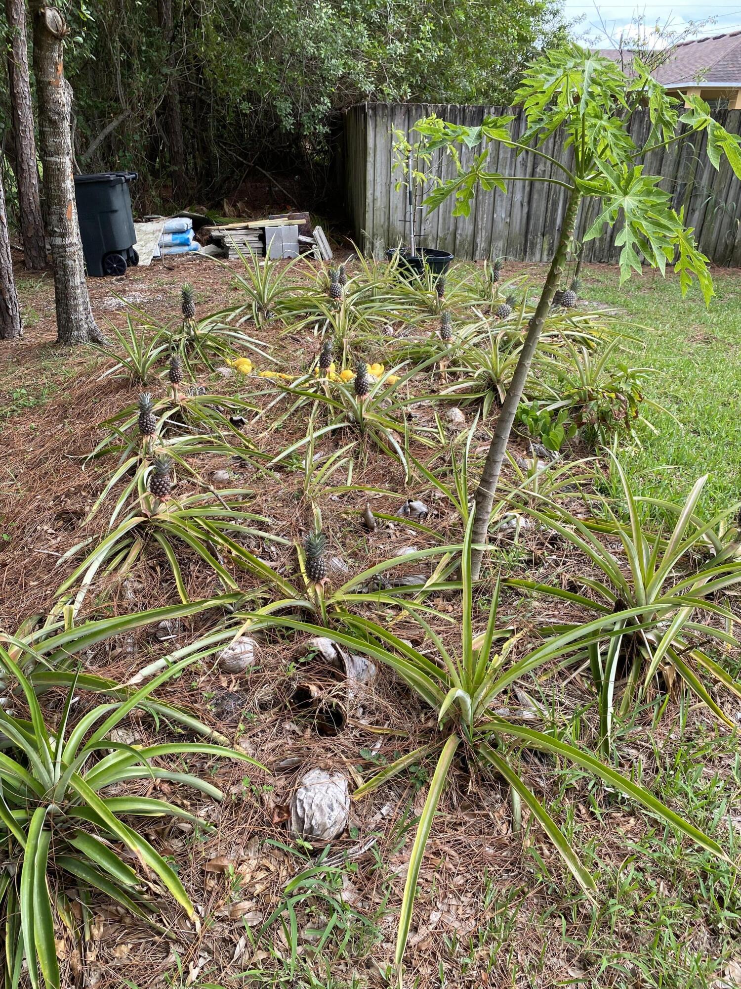 501 Northwest Selvitz Road Port St. Lucie, FL 34983 - Photo 40 of 41 IMG_0822