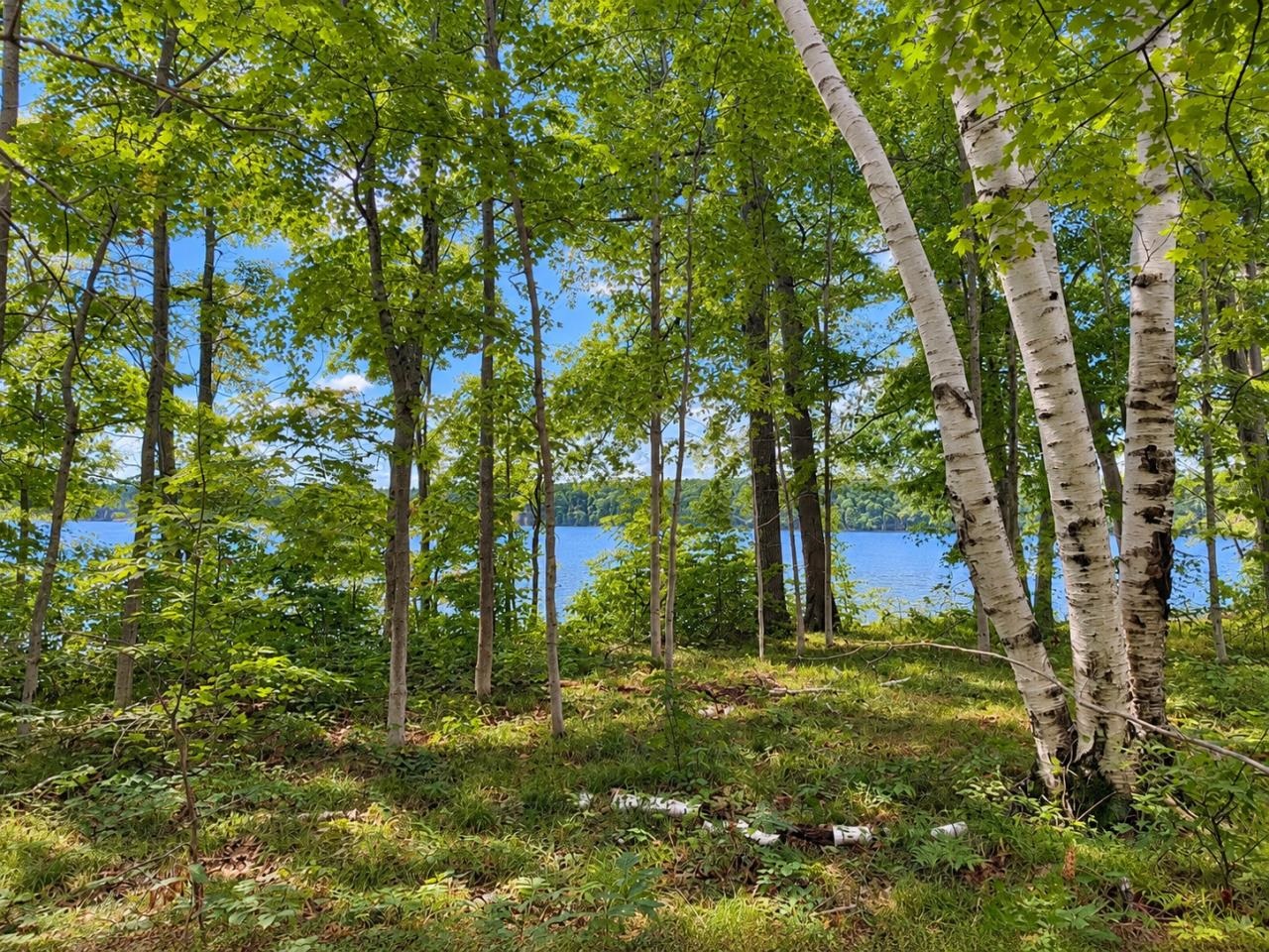 Tbd Fox Lake Road Beaver Island, MI 49782 - Photo 2 of 9 1950374-30b041aa-a5b4-4d9e-b353-a794dc985ffd.JPG