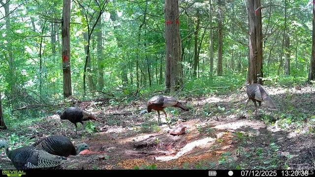 $679,900 | 6400 East Prong, Madison, IN 47250