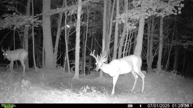 $679,900 | 6400 East Prong, Madison, IN 47250