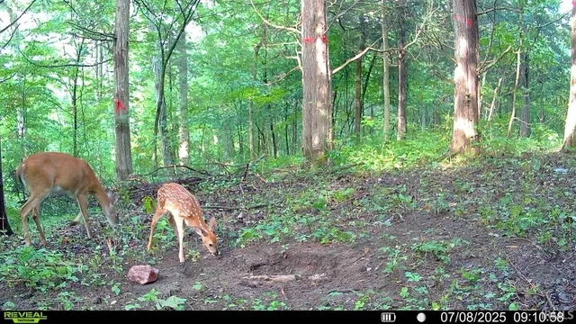 $679,900 | 6400 East Prong, Madison, IN 47250