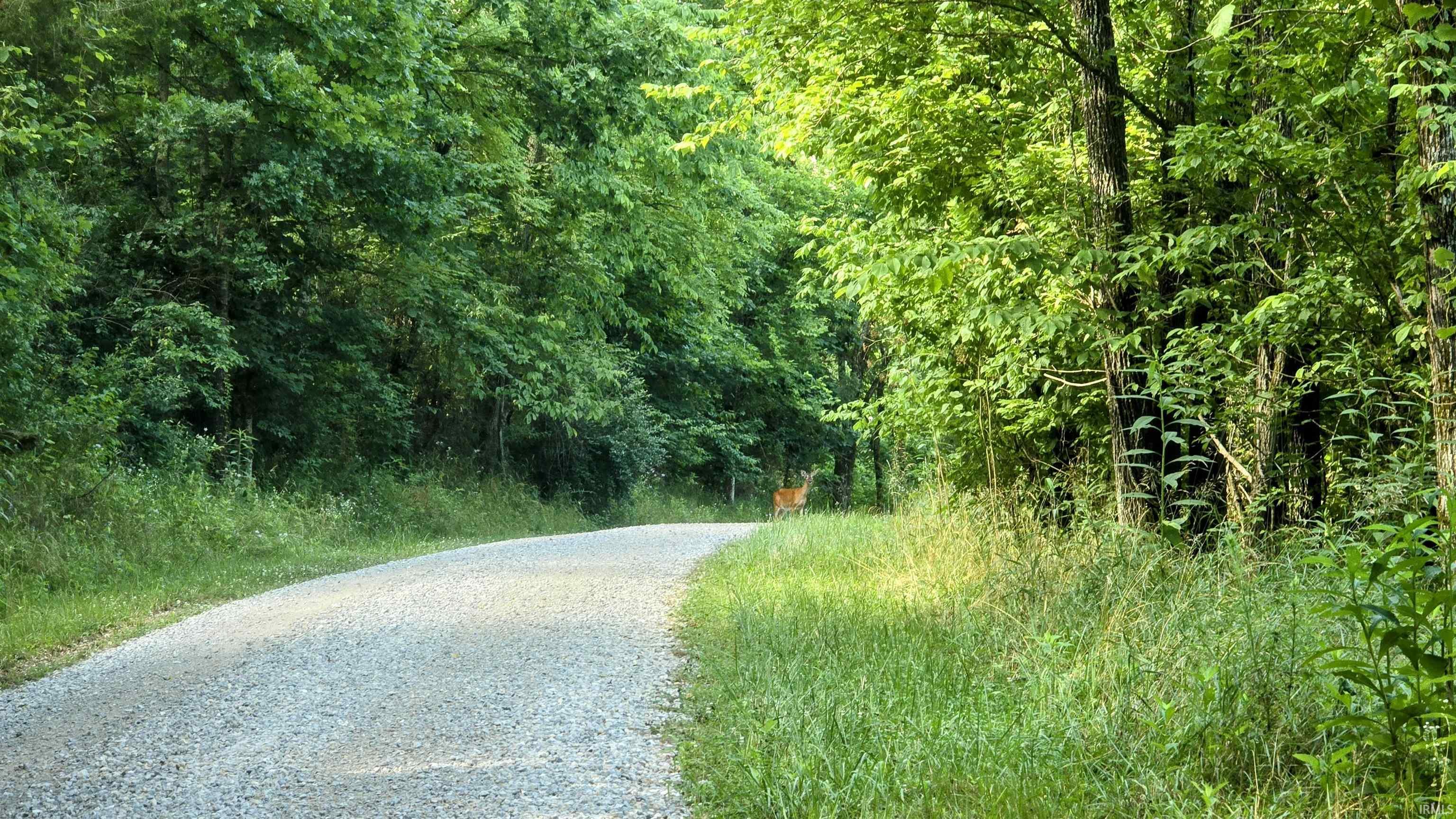 6400 East Prong Madison, IN 47250 - Photo 3 of 16