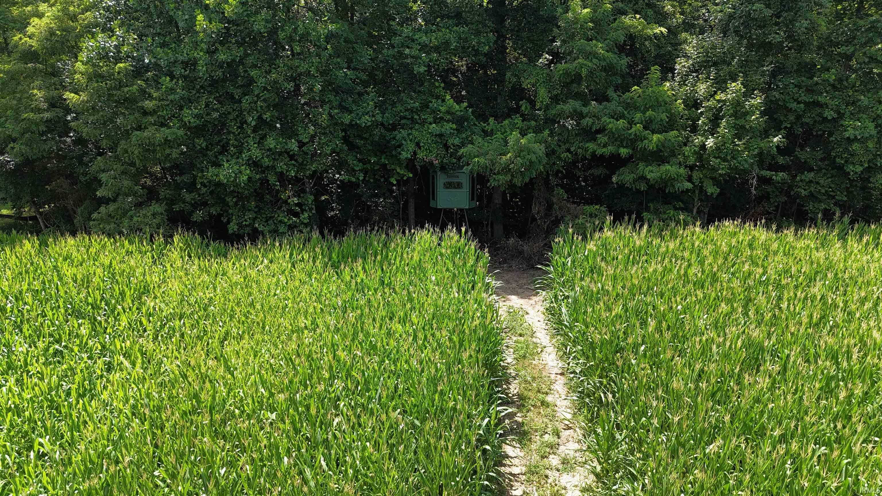 6400 East Prong Madison, IN 47250 - Photo 4 of 16