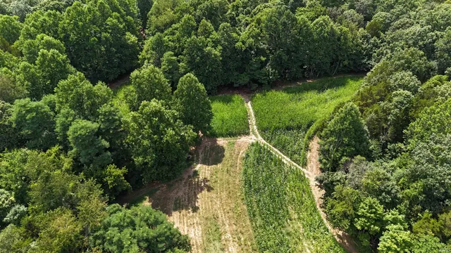 $679,900 | 6400 East Prong, Madison, IN 47250