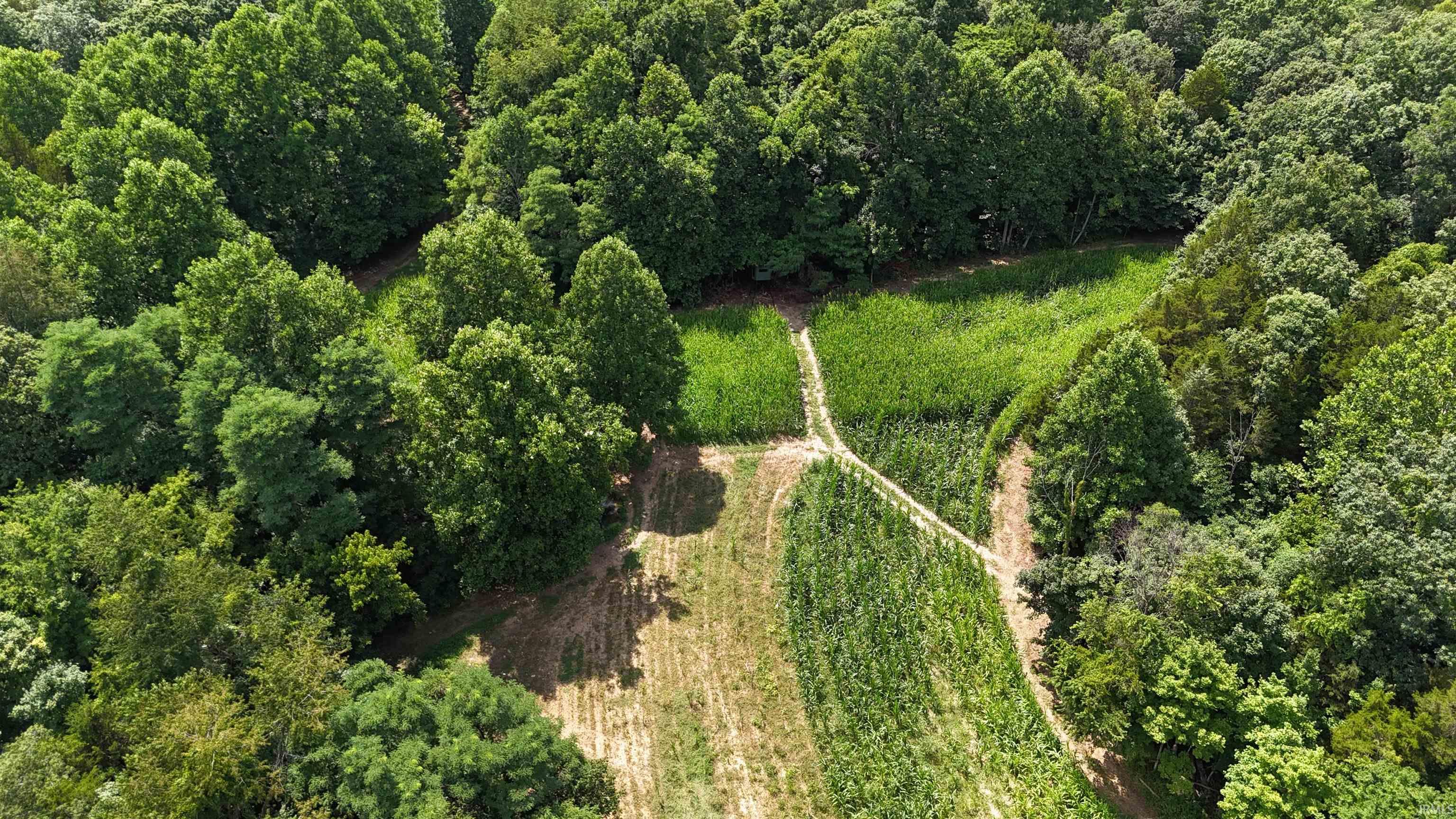 6400 East Prong Madison, IN 47250 - Photo 5 of 16