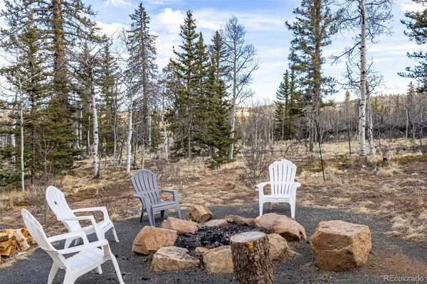 a view of a yard with trees