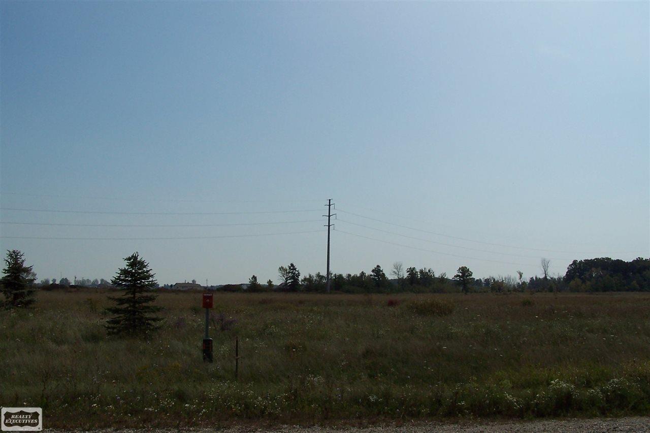 Ray Lane Capac, MI 48014 - Photo 5 of 7 50023718-4.JPG