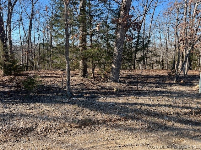 Four Cornett Branch Road Four Seasons, MO 65049 - Photo 1 of 5 Build your dream home here.