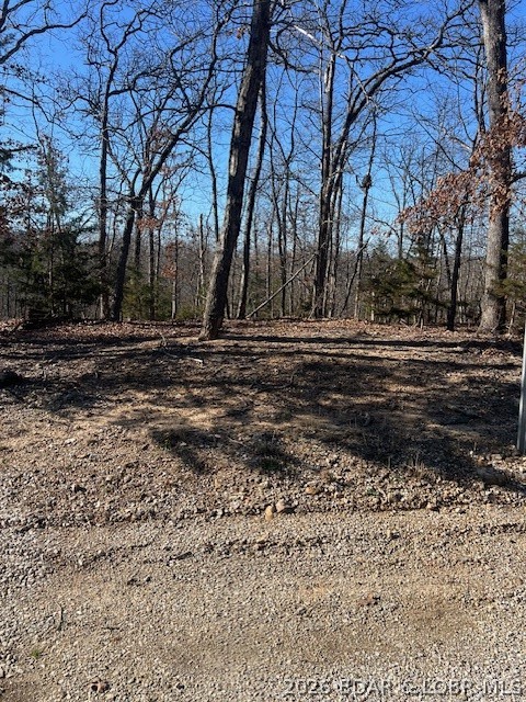 Four Cornett Branch Road Four Seasons, MO 65049 - Photo 2 of 5 Ready to build