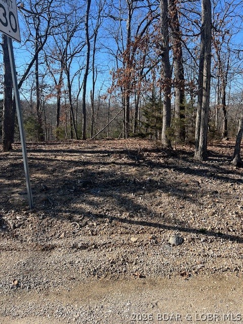 Four Cornett Branch Road Four Seasons, MO 65049 - Photo 3 of 5 Flat lot