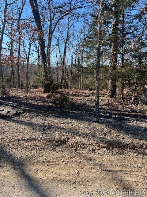 Four Cornett Branch Road Four Seasons, MO 65049 - Photo 4 of 5