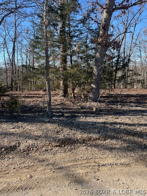 Four Cornett Branch Road Four Seasons, MO 65049 - Photo 5 of 5 Great location and close to Four Seasons amenities
