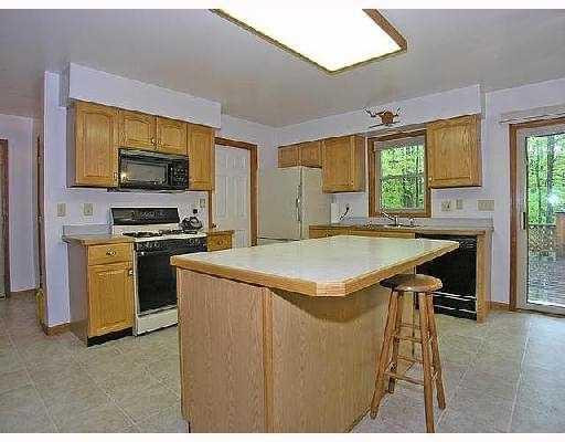 6079 Lima Center Road Manchester, MI 48158 - Photo 3 of 10 Photo 3