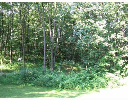 6079 Lima Center Road Manchester, MI 48158 - Photo 9 of 10 Photo 9