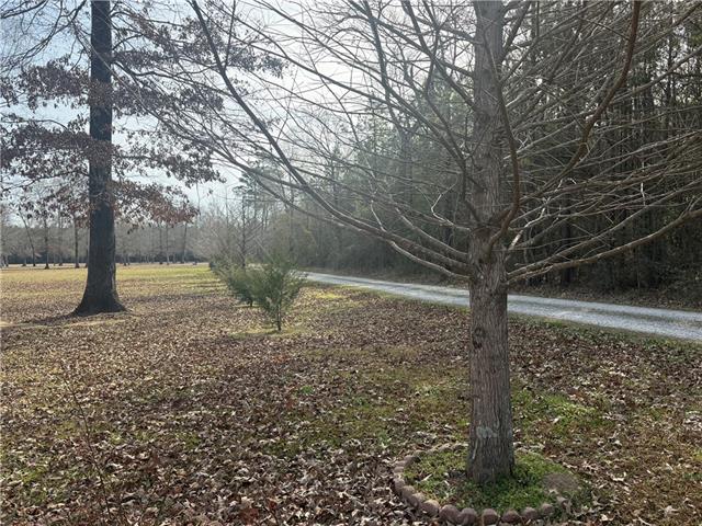 195 Varvarosky Road Deville, LA 71328 - Photo 21 of 21