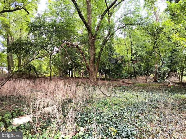 a view of backyard with green space