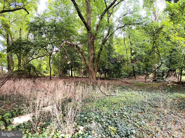 a view of backyard with green space