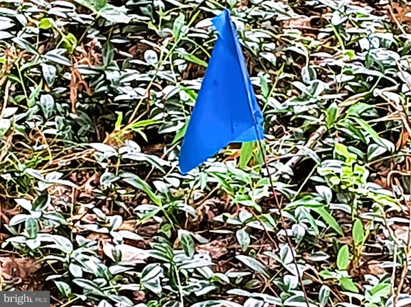 a sign on the side of the road