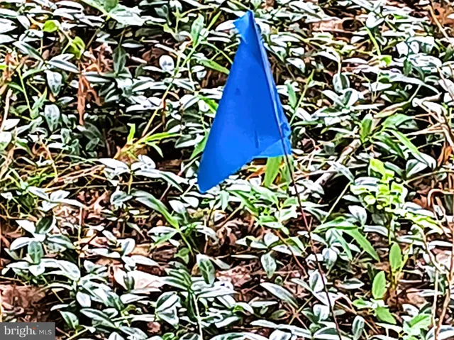 a sign on the side of the road