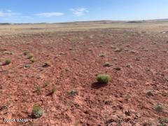 St-johns Az 85936 Chambers, AZ 86502 - Photo 3 of 4 unnamed (1)