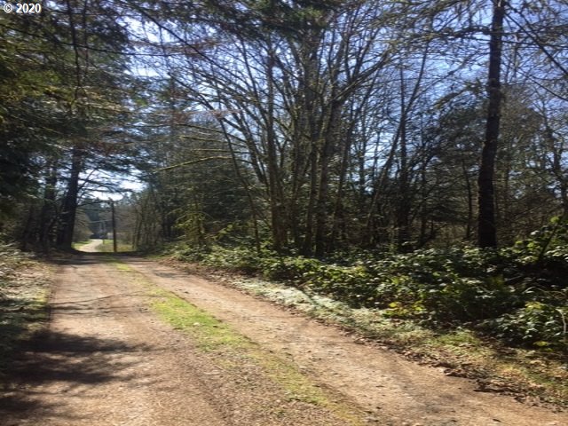 34881 Southeast Gunderson Road Sandy, OR 97055 - Photo 6 of 9