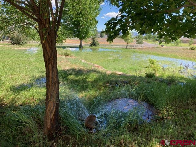 25558 Rd N 6 Loop Cortez, CO 81321 - Photo 25 of 30 a view of outdoor space and yard