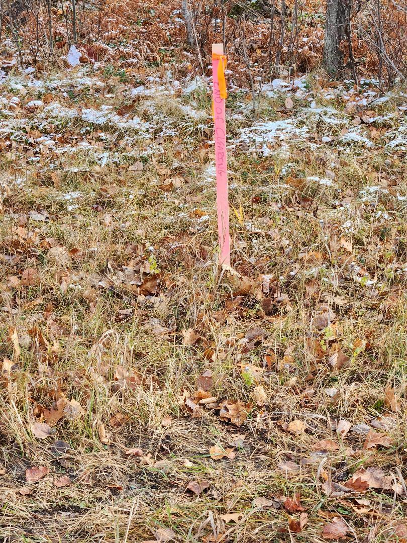 Marlette Road Frederic, MI 49733 - Photo 9 of 25 Gallery Image 9