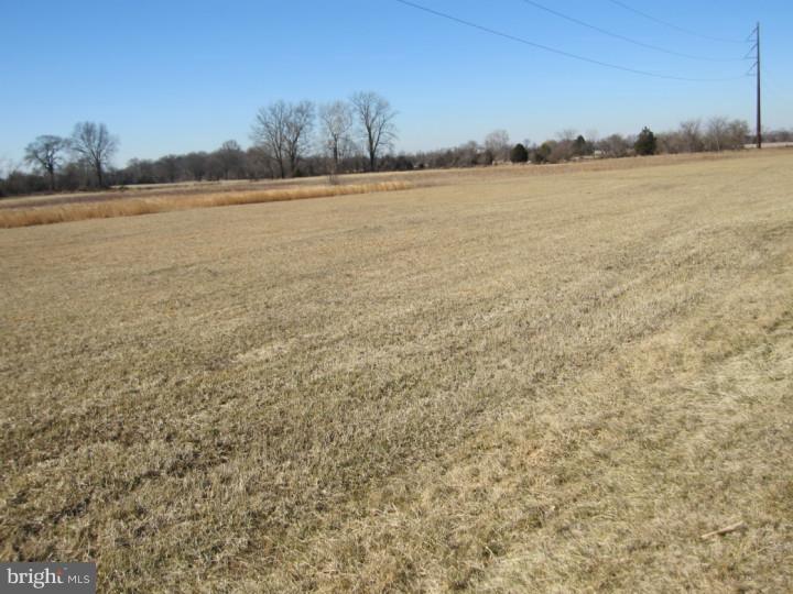7 Swedes Bridge Road Woodstown, NJ 08098 - Photo 2 of 5