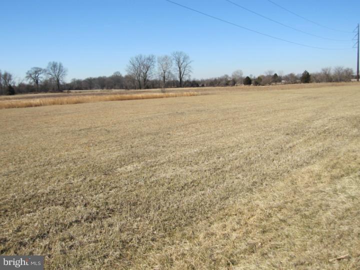 7 Swedes Bridge Road Woodstown, NJ 08098 - Photo 3 of 5