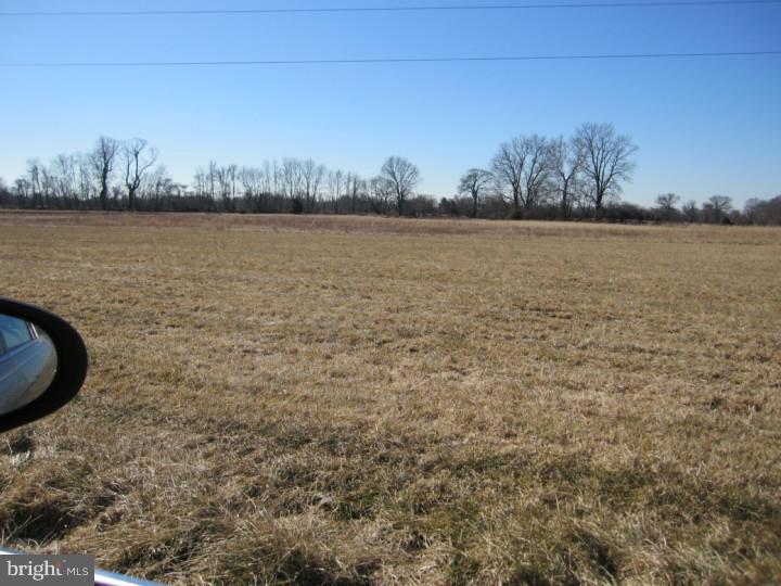7 Swedes Bridge Road Woodstown, NJ 08098 - Photo 5 of 5