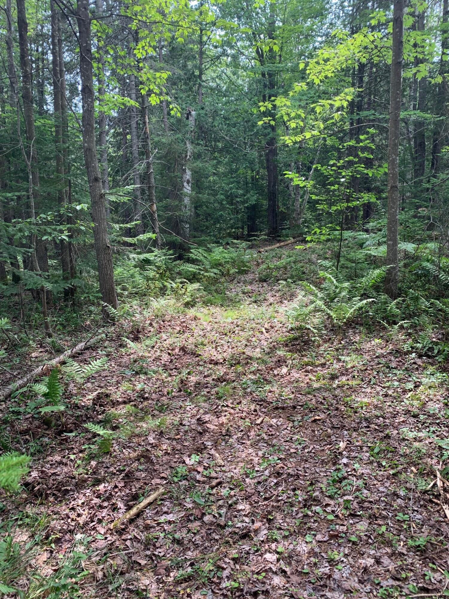9015 North Whitefish Point Road Paradise, MI 49768 - Photo 19 of 32 Gallery Image 19