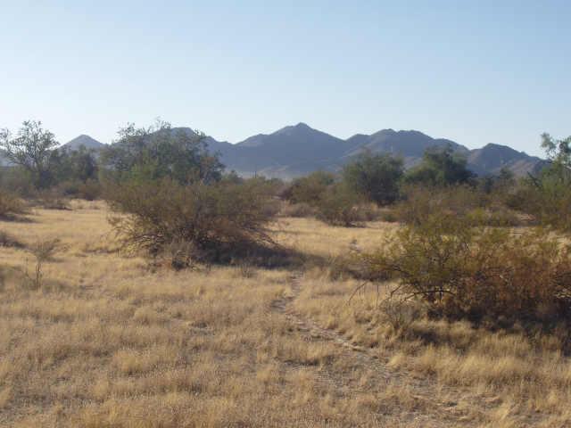 0 South Ralston/dune Shadow Road, Unit 65 Maricopa, AZ 85139 - Photo 2 of 6 Additional Photo