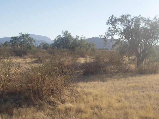 0 South Ralston/dune Shadow Road, Unit 65 Maricopa, AZ 85139 - Photo 3 of 6 Additional Photo