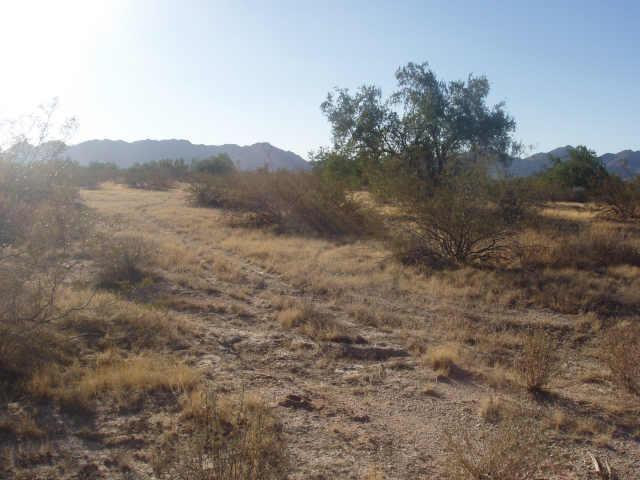 0 South Ralston/dune Shadow Road, Unit 65 Maricopa, AZ 85139 - Photo 5 of 6 Additional Photo