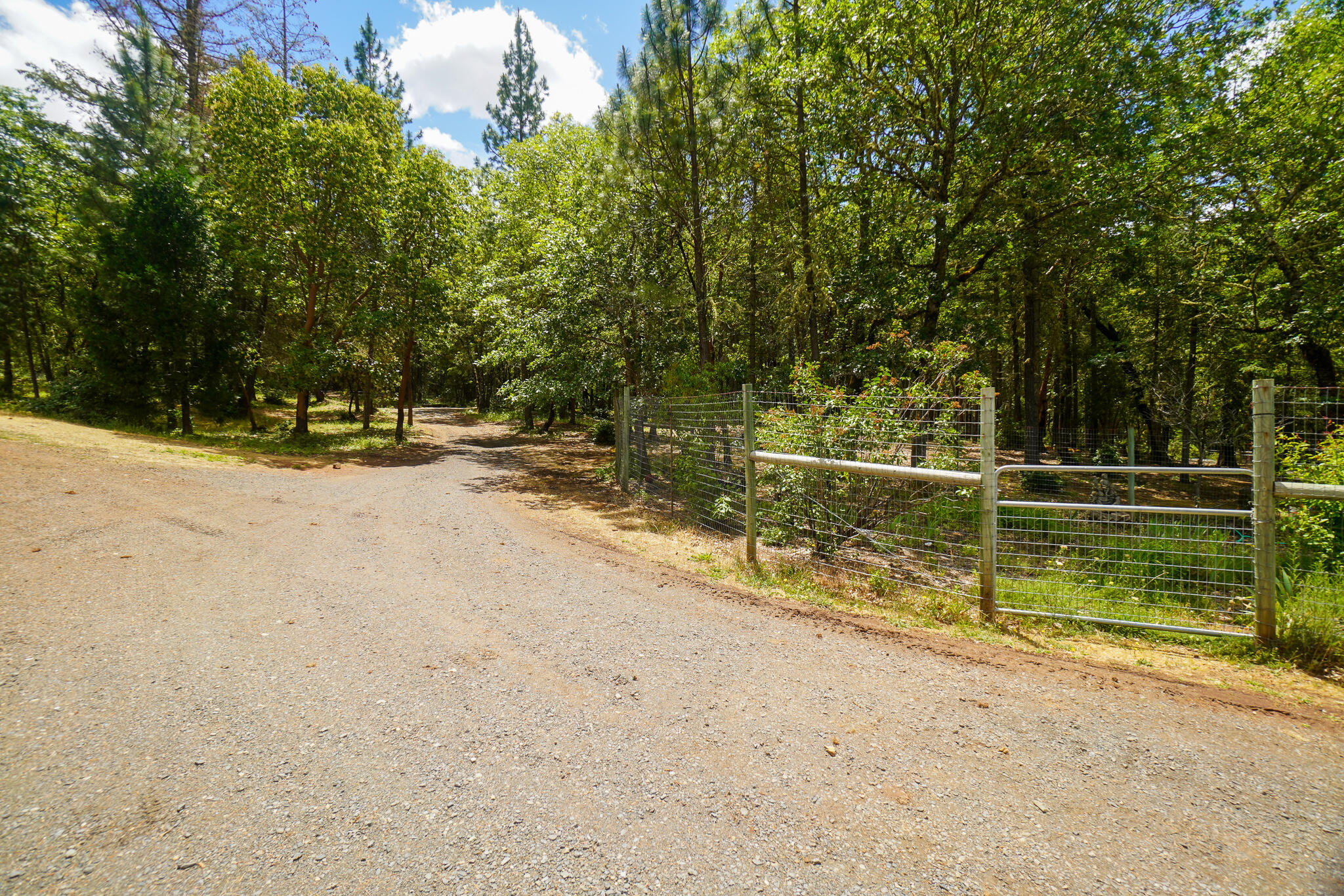 1212 Hogan Road Jacksonville, OR 97530 - Photo 11 of 59 Gallery Image 11