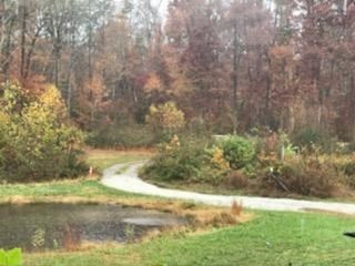2925 River Road Ten Mile, TN 37880 - Photo 14 of 14 Gallery Image 14