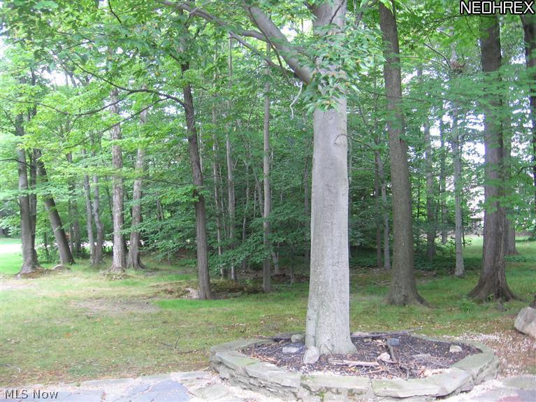 31971 Cedar Road Cleveland, OH 44124 - Photo 7 of 19 Gallery Image 7