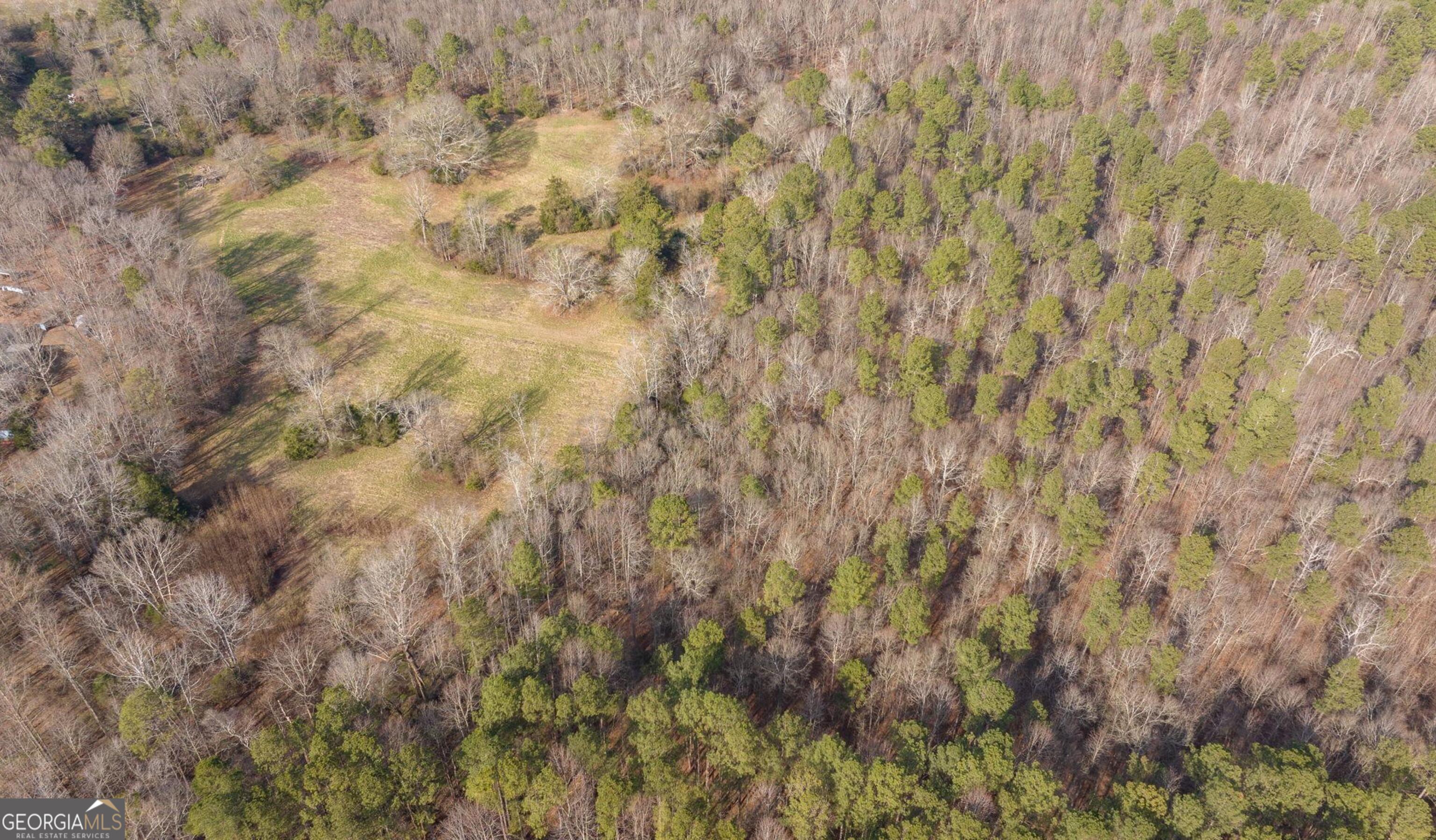 O O G W Wilson & Christian Road Nicholson, GA 30565 - Photo 12 of 27