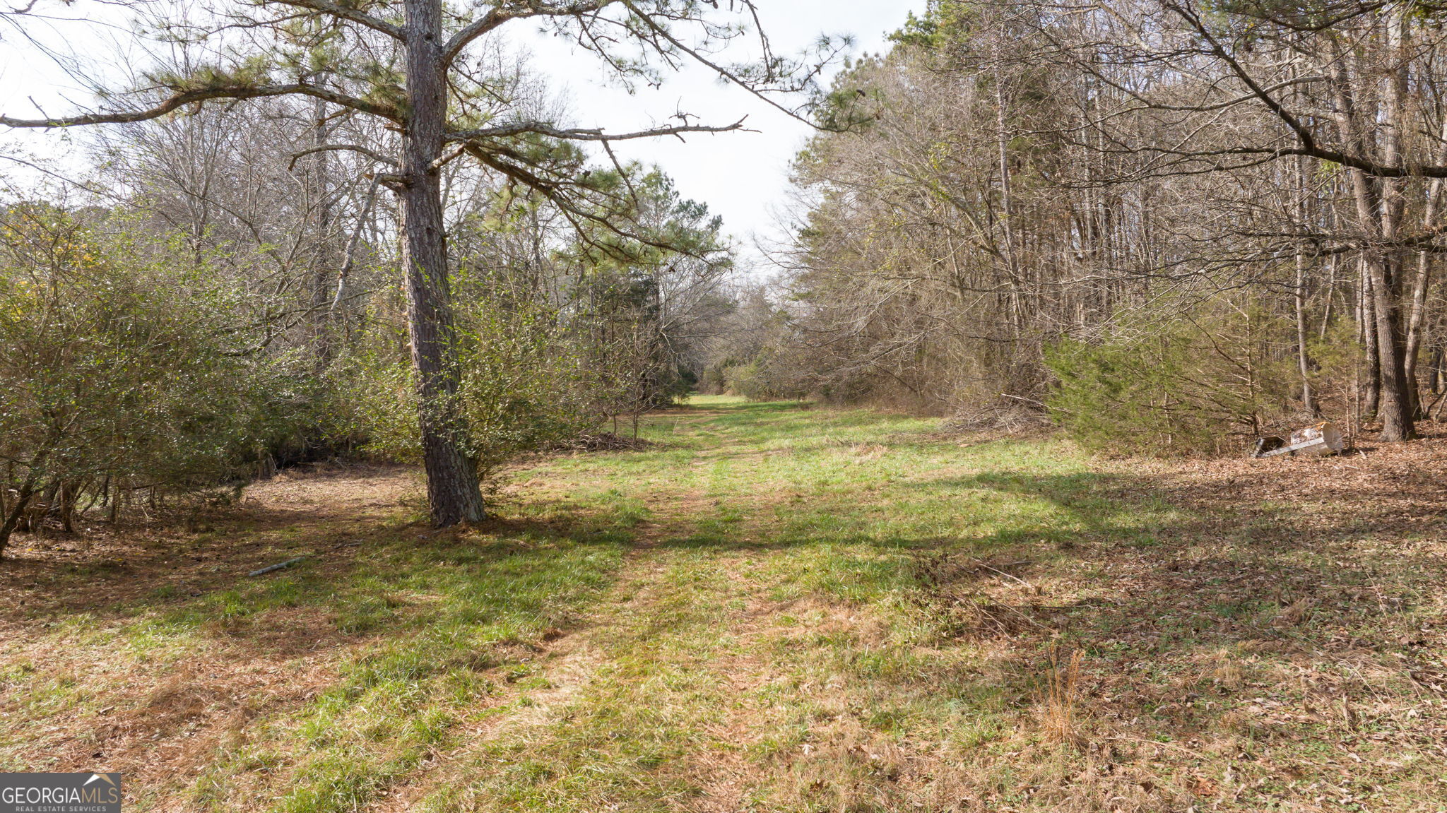 O O G W Wilson & Christian Road Nicholson, GA 30565 - Photo 26 of 27