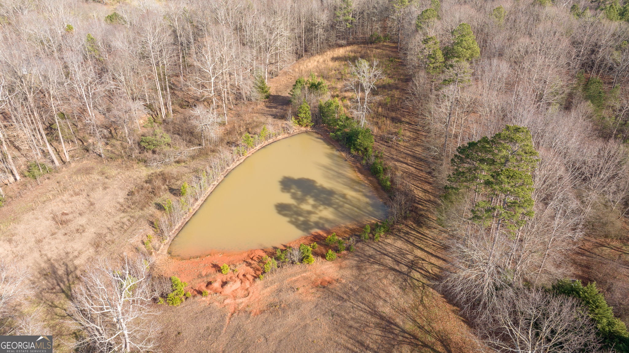 O O G W Wilson & Christian Road Nicholson, GA 30565 - Photo 6 of 27