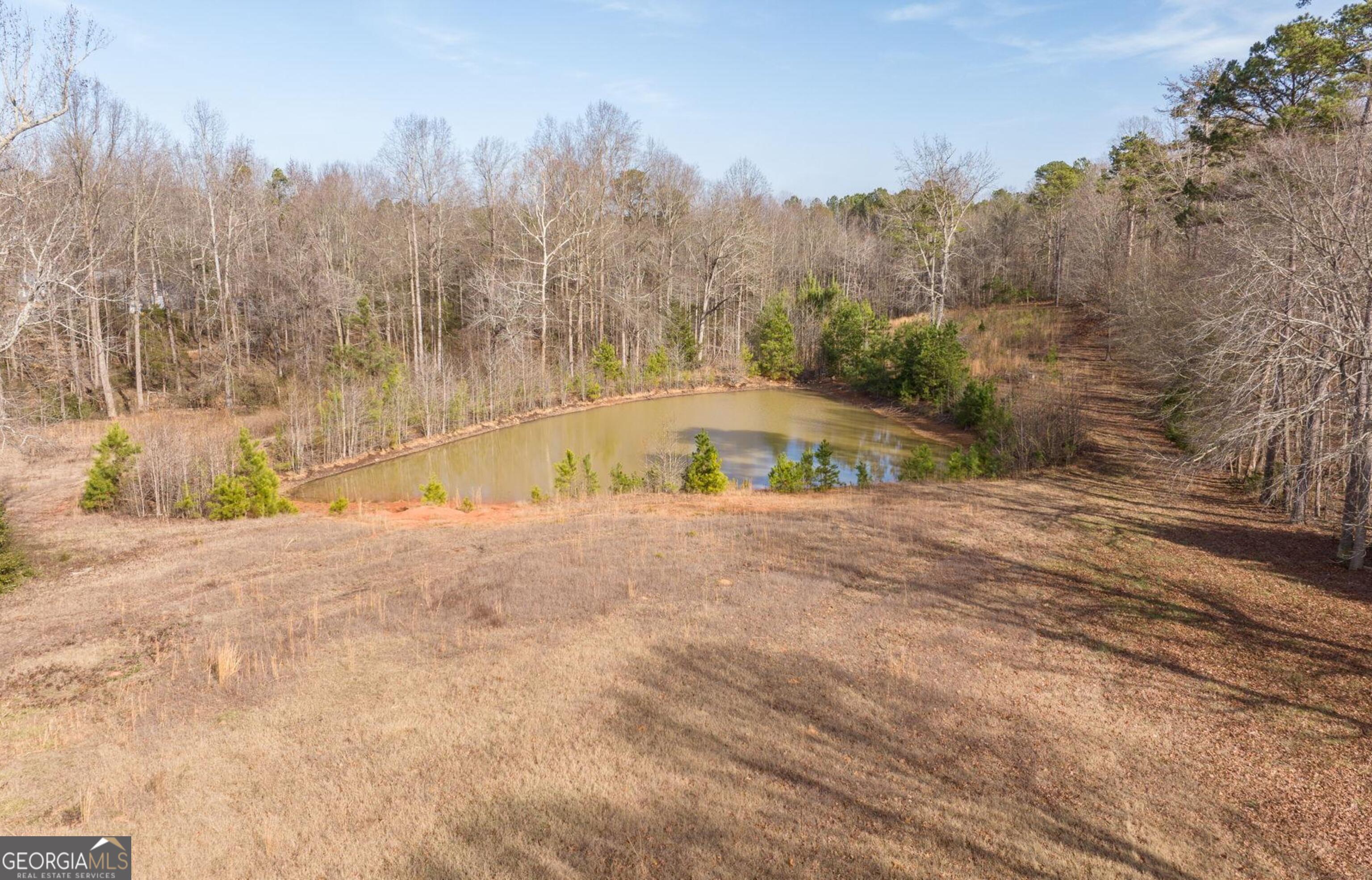 O O G W Wilson & Christian Road Nicholson, GA 30565 - Photo 7 of 27