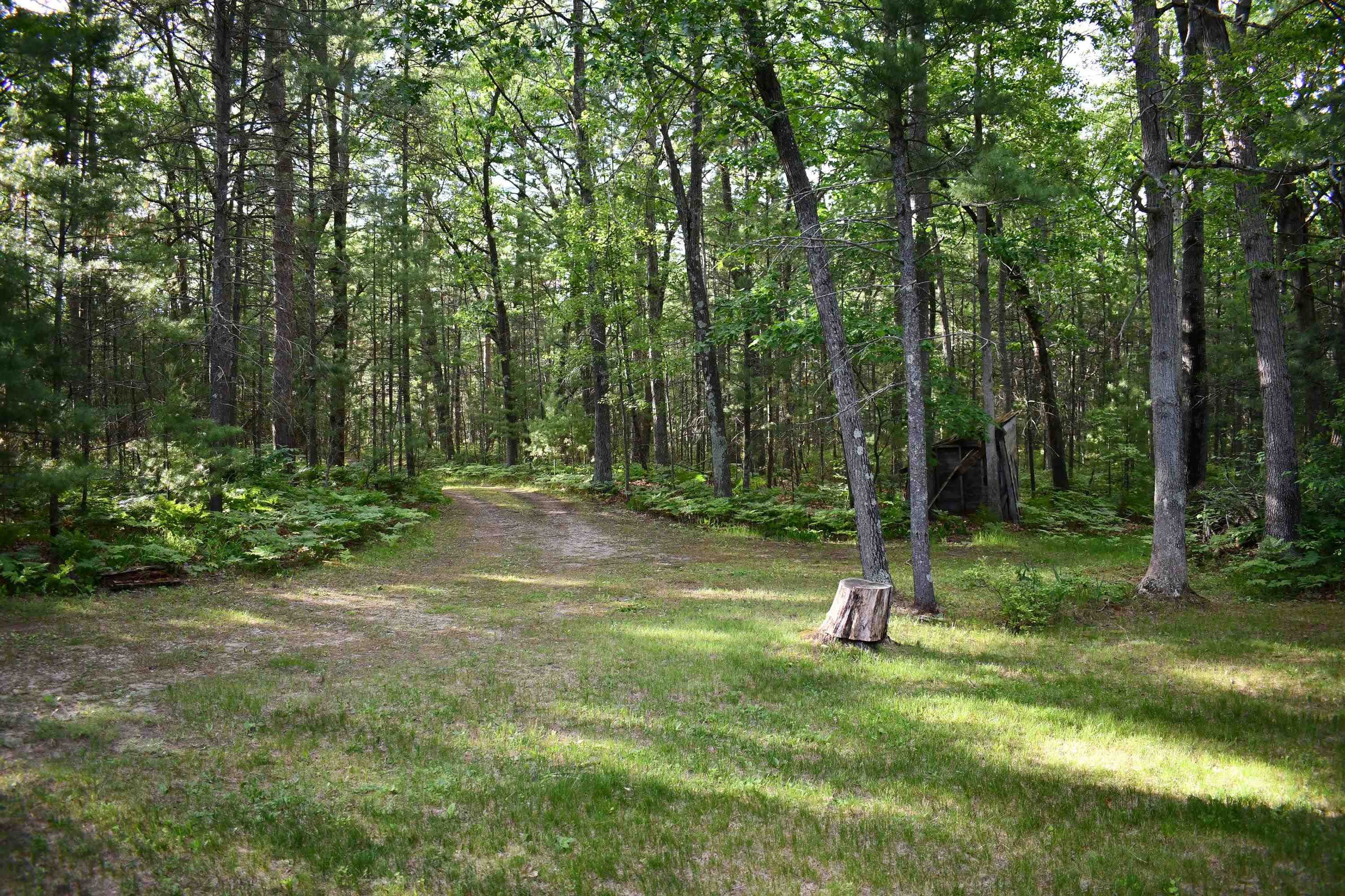 3800 Forest Road Oscoda, MI 48750 - Photo 38 of 46