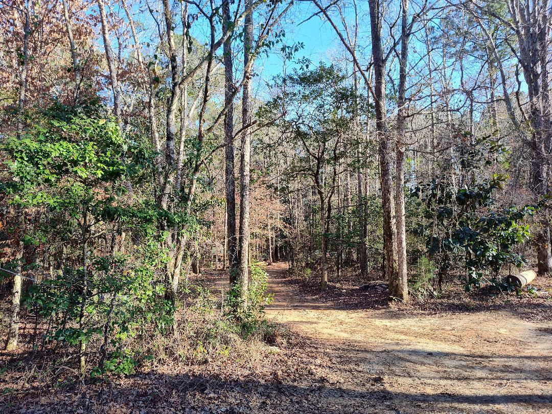 600 Jasper Floyd Road Ponce de Leon, FL 32455 - Photo 1 of 27 a view of a house with a yard tree